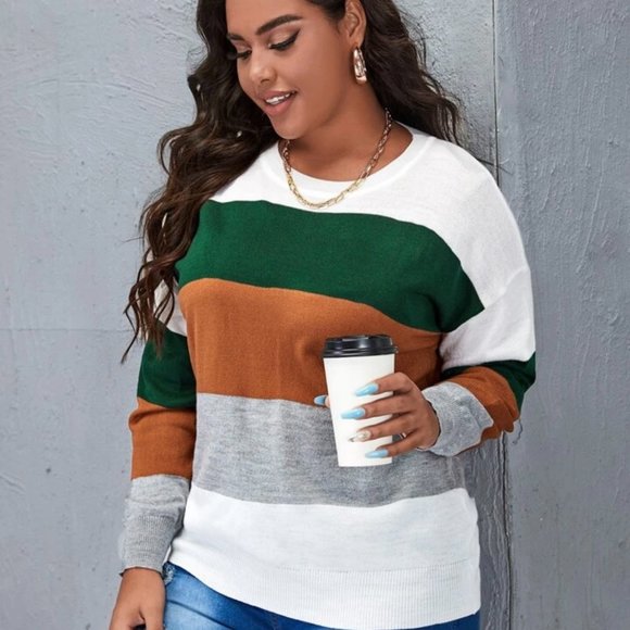SHEIN Sweaters - Round Neck Pullovers Long Sleeve Multicolor Plus Size Sweaters 12(OXL)